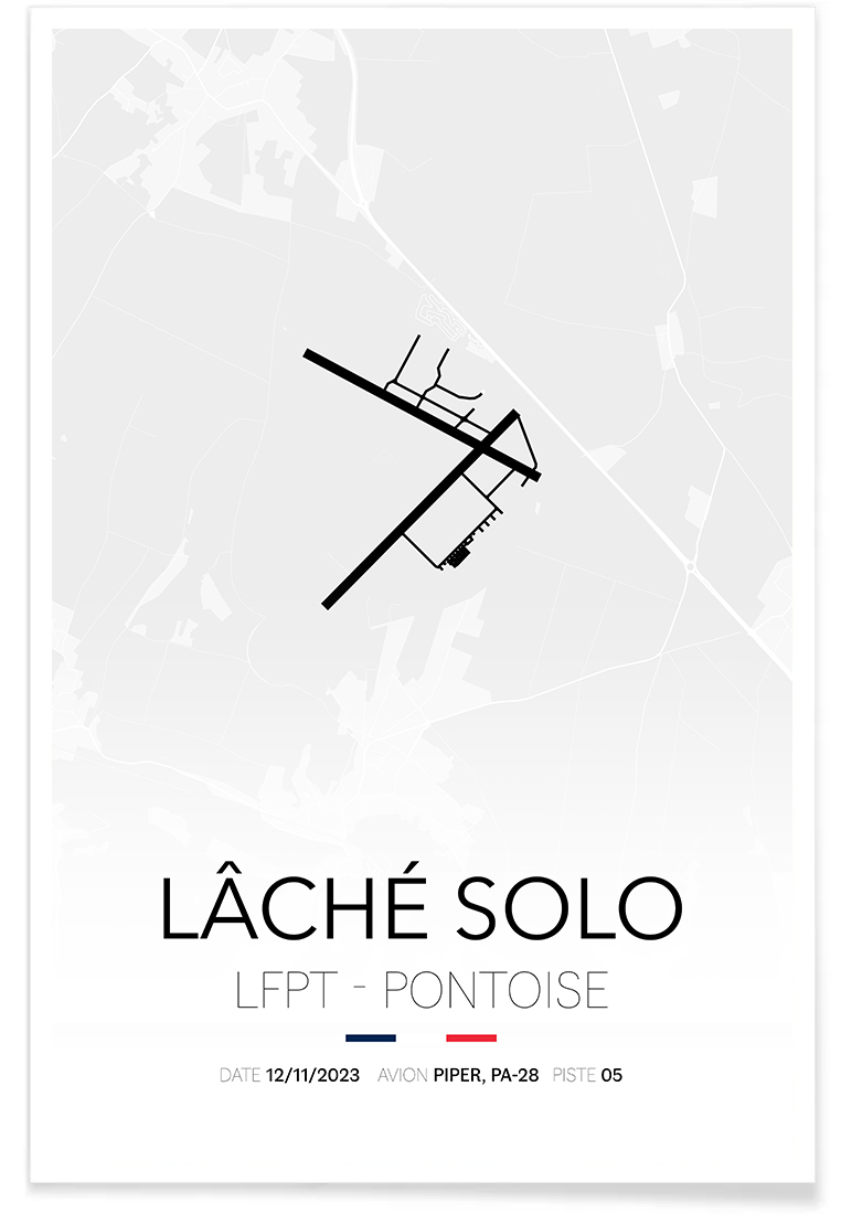 Affiche lâché solo...